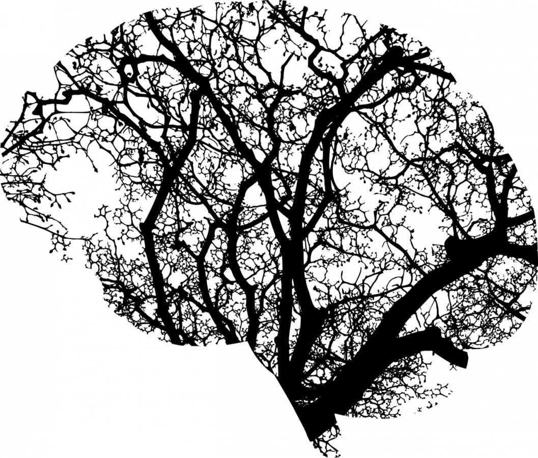 The Complexities of Missing Adults with Mental Illness