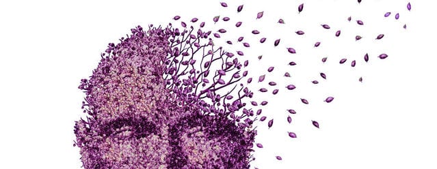 An artistic profile of a face gently dissolving into drifting petals, evoking memory loss and dementia in missing elderly adults