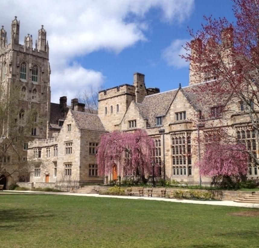 Body of missing Yale employee found on Long Island shoreline